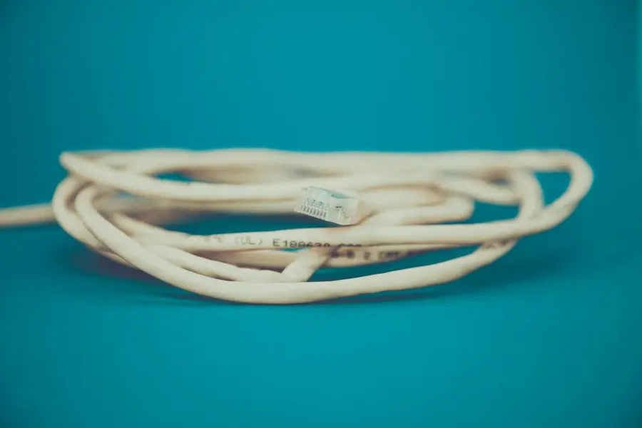 Coiled white Ethernet network cable with an RJ-45 plug on a teal background