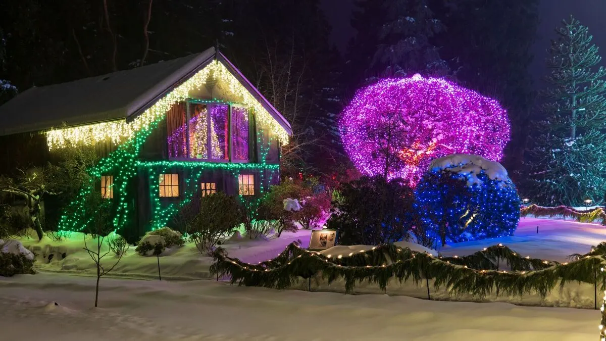 Two-story house outlined in warm white lights with a green-lit tree and a purple-lit shrub in a snowy yard at night